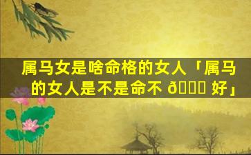 属马女是啥命格的女人「属马的女人是不是命不 🐛 好」